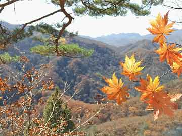 澳门彩票的未来展望，探索精准正版资源的免费大全（第068期）与数字解读（第07-11-19-20-23-33期）,2025澳门最精准正版免费大全068期 07-11-19-20-23-33D：30