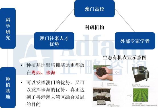 新澳最新最快资料解析及探索，新澳85期与未来趋势分析,新澳最新最快资料新澳85期010期 12-21-32-37-45-49G：28