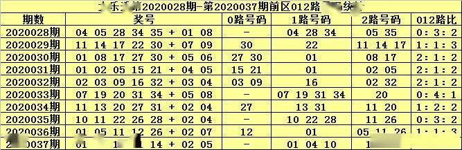 张家港管家婆的新秘密，一票一码100正确与神秘期数解读,管家婆一票一码100正确张家港004期 08-10-22-33-44-48Q：21