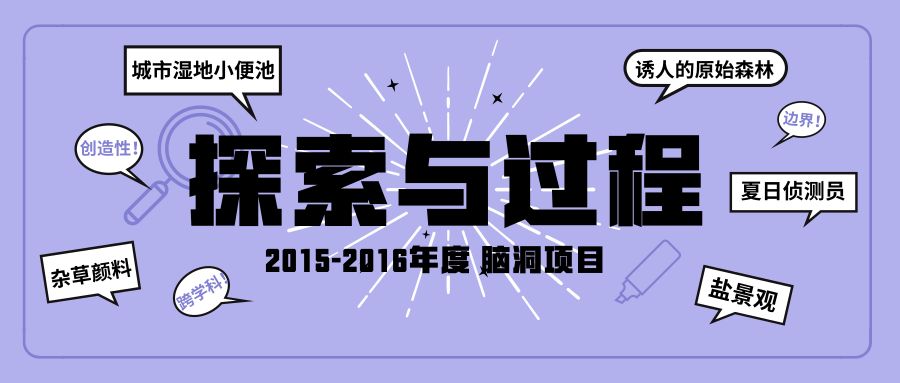 探索新澳彩迷世界，2025年彩迷信封与数字奥秘,2025新澳免费资料彩迷信封130期 08-17-19-21-45-46U：29