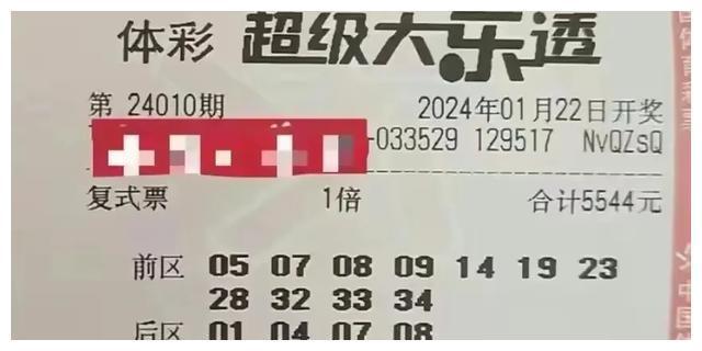 探索澳门正版彩票，2025年第42期的数字奥秘与彩票文化深度解析,2025新澳门正版免费042期 10-23-28-30-39-41X：40